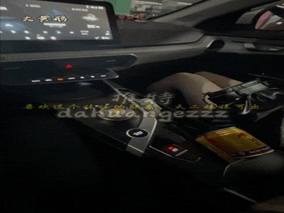 新艺考行业从业者【大黄鹅】专挑女大学生，约啪福利，完整版，豪车金钱，学生妹轻松拿下随便操！ 